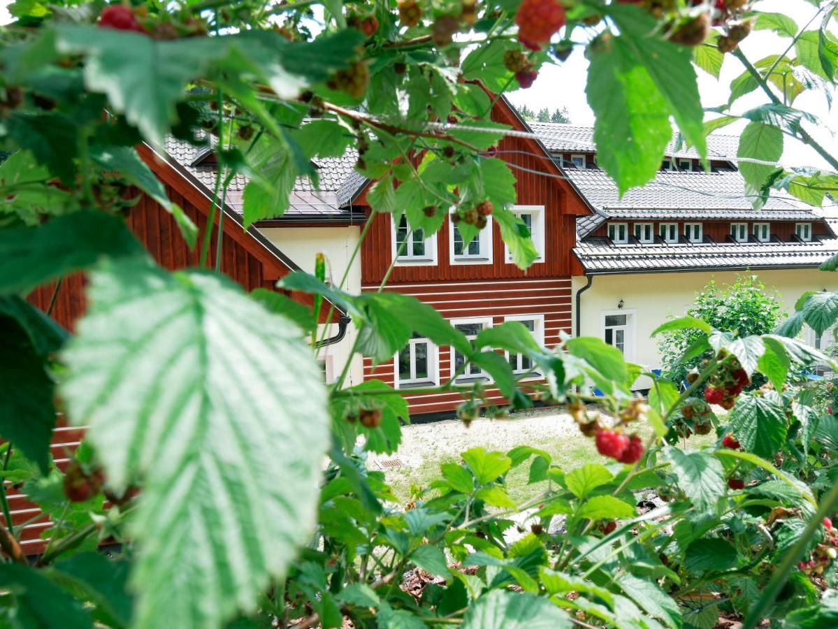 Apartmany Pod Marianskymi Schody Албректіце в Їзерських горах Екстер'єр фото